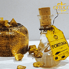 Ophiuchus: Potion of Fortune