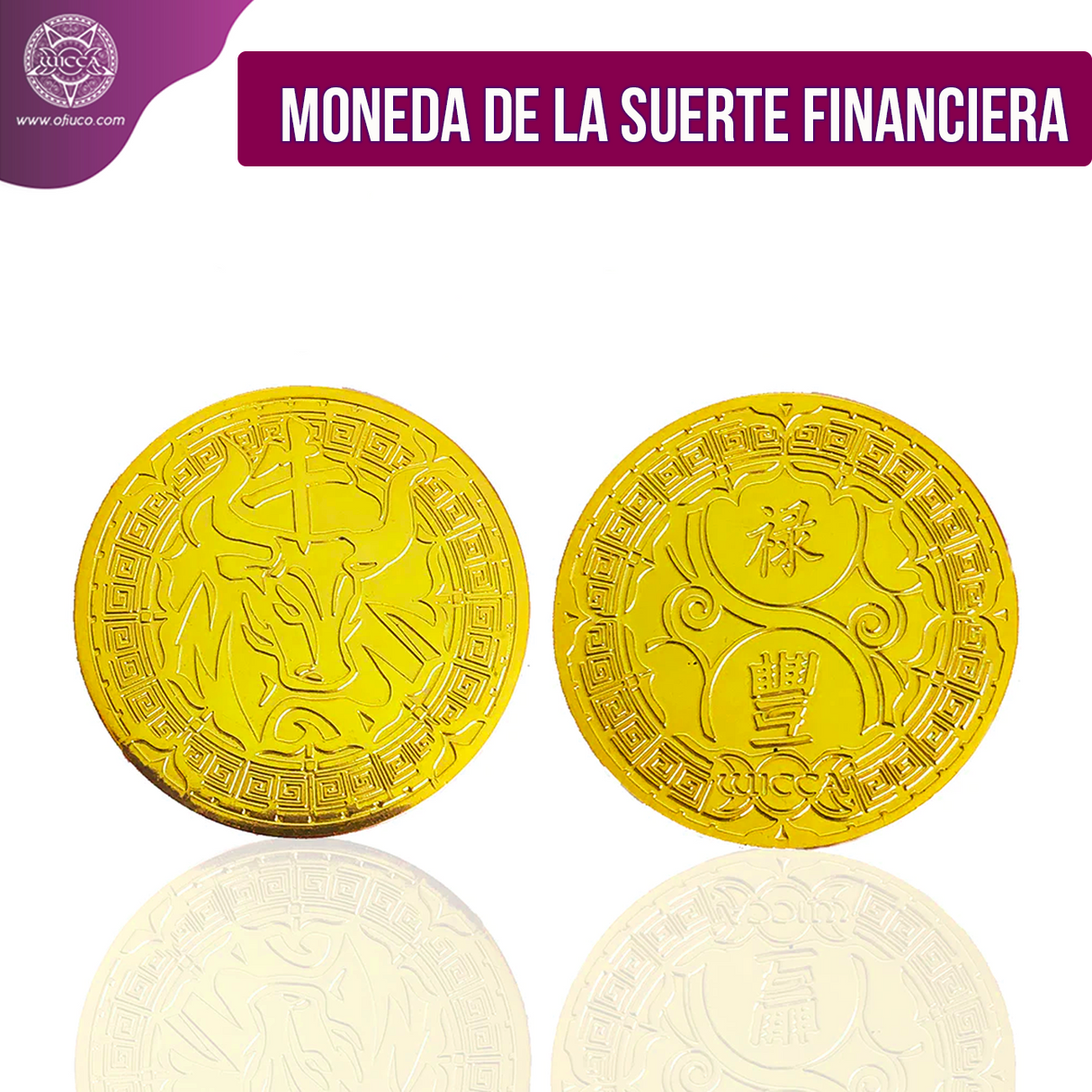 Moneda de la  Suerte Financiera