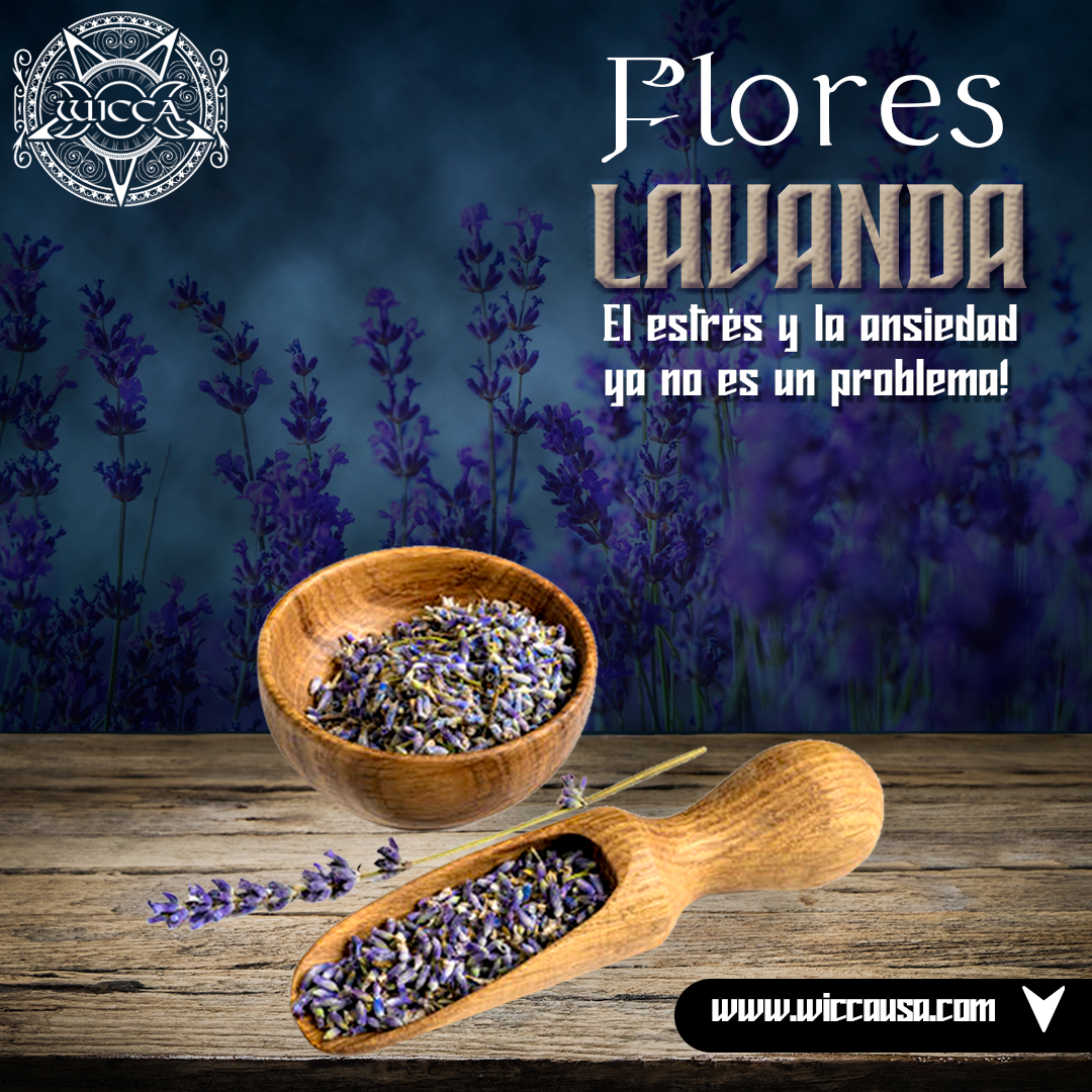 Herbolario: Lavanda Mística: Encuentra Calma y Energía.