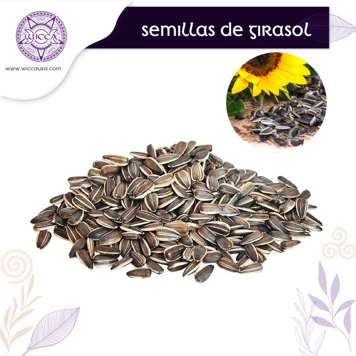 Herbolario: Semillas de Girasol Para Brillar