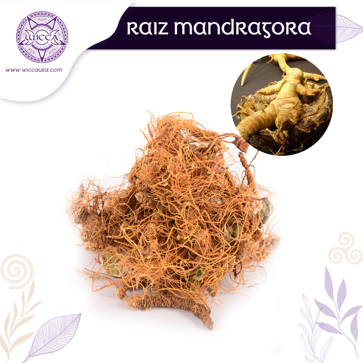 Herbalist: Mandrake Root: Mystical Power and Special Rituals