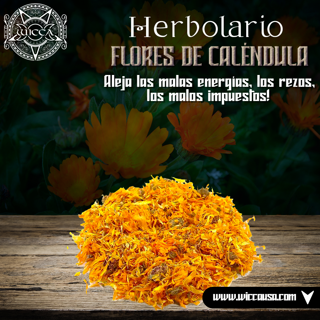 Herbolario: Caléndula Encantada: Flores Mágicas