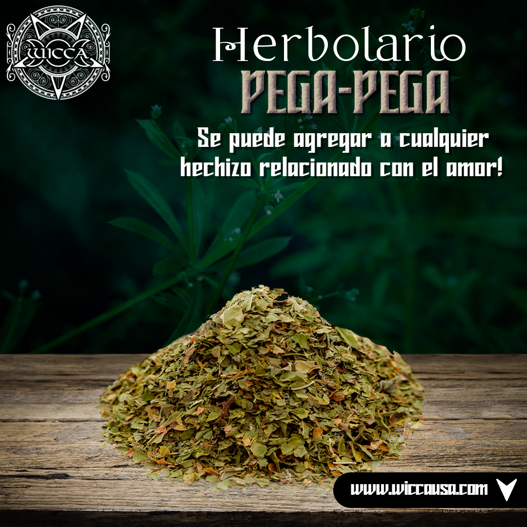 Herbolario: La Planta Pega-Pega: Descubre la Magia de la Naturaleza